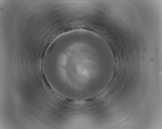 X0000076320767200610161644