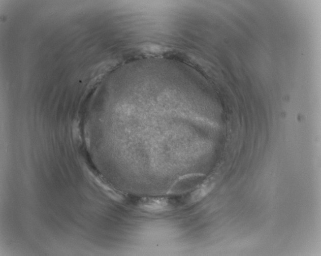 X0000076320768200610161644