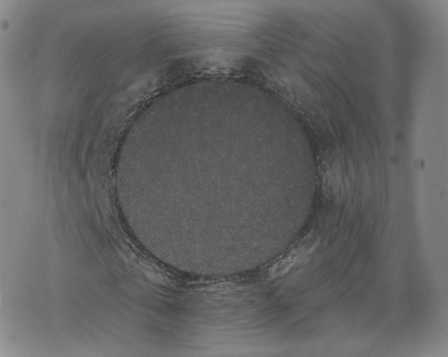 X0000076320769200610161643