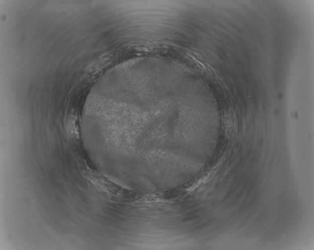 X0000076320770200610161643