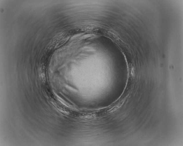 X0000076320771200610161643