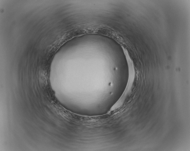 X0000076320772200610161643