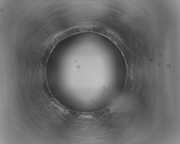 X0000076320773200610161643