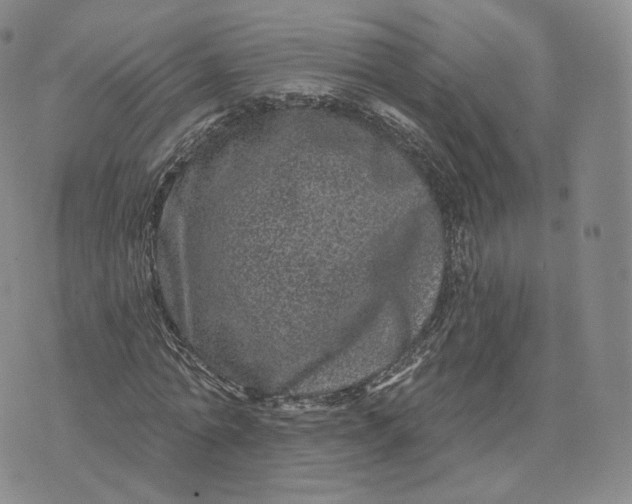 X0000076320774200610161643