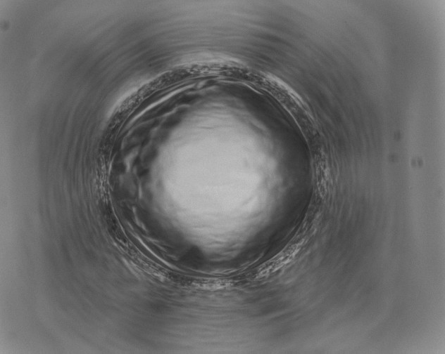 X0000076320775200610161643