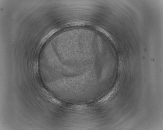 X0000076320778200610161643