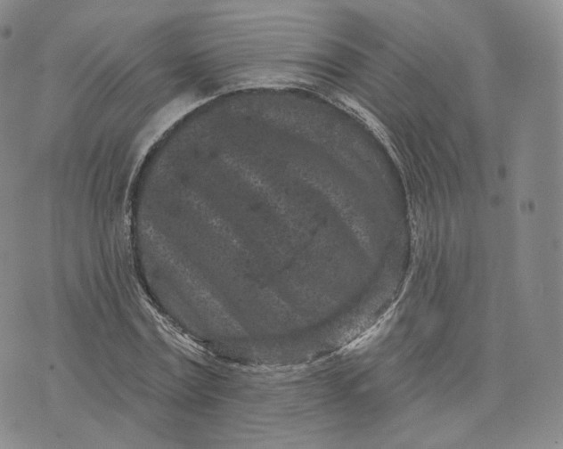 X0000076320779200610161643