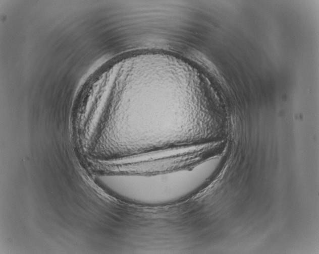 X0000076320780200610161643