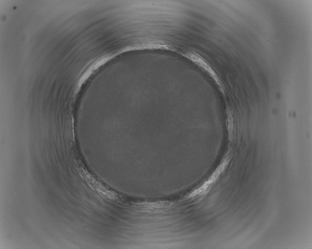 X0000076320781200610161643