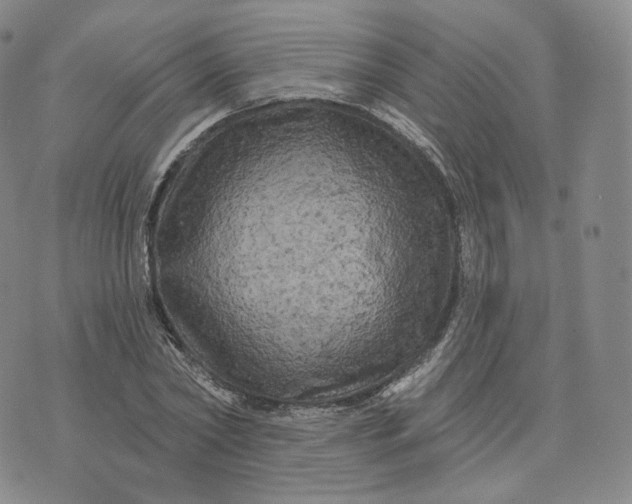 X0000076320782200610161643