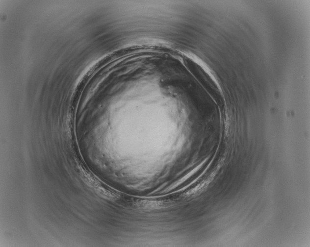 X0000076320783200610161643