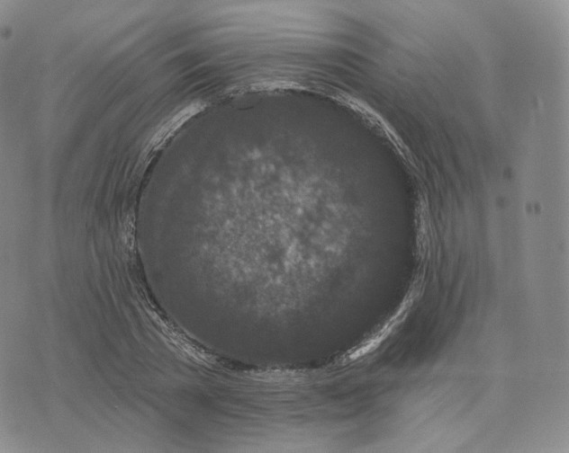 X0000076320785200610161643