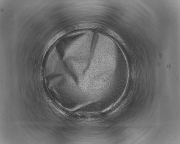 X0000076320786200610161643