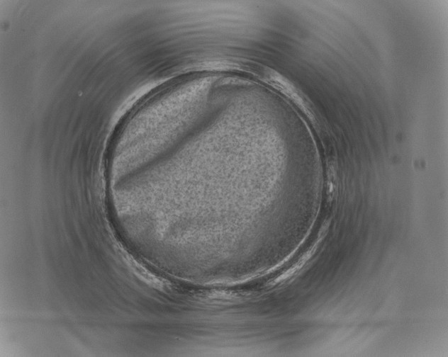 X0000076320787200610161643