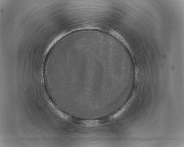 X0000076320789200610161643