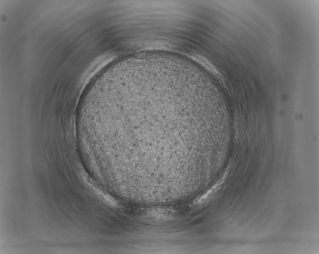 X0000076320790200610161642