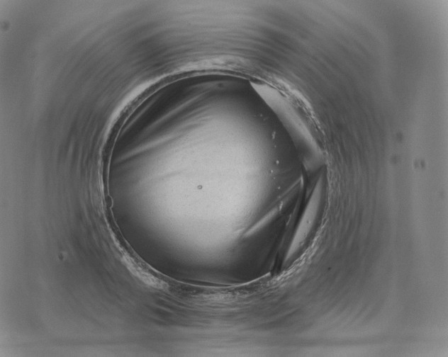 X0000076320792200610161642