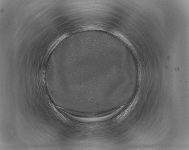 X0000076320793200610161642