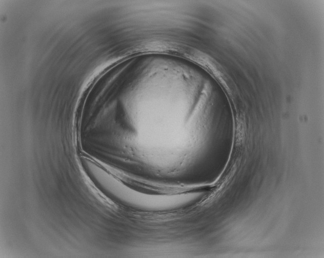 X0000076320795200610161642