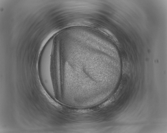 X0000076320796200610161642