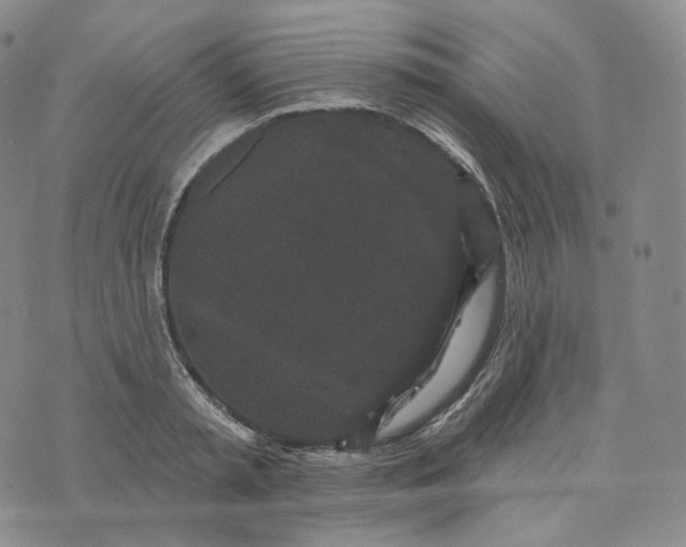 X0000076320797200610161642