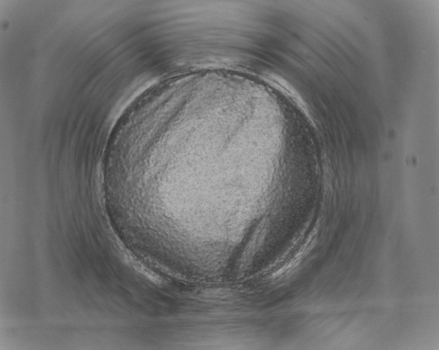 X0000076320798200610161642