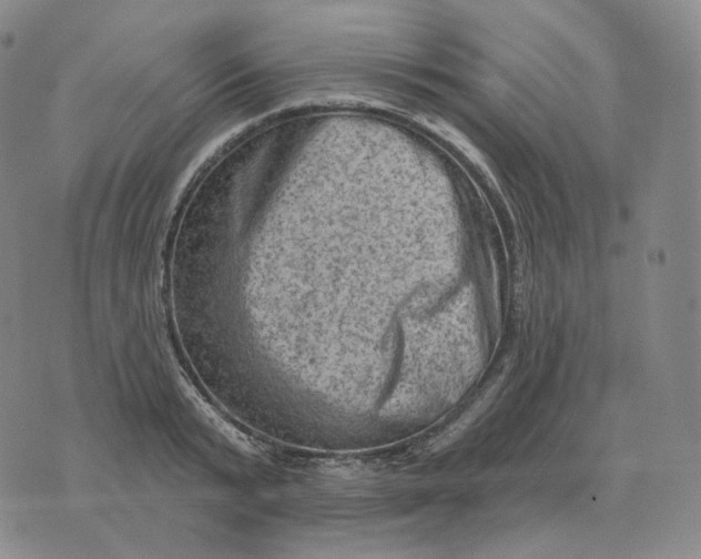 X0000076320799200610161642