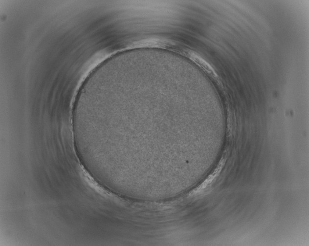 X0000076320800200610161642