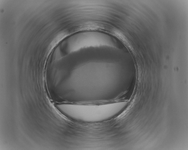 X0000076320802200610161642