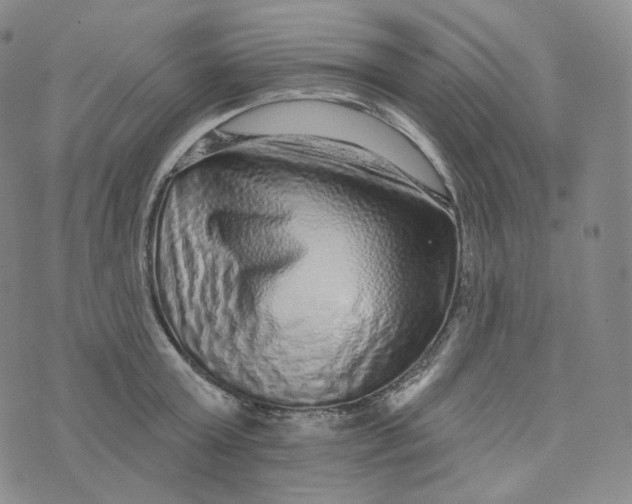 X0000076320803200610161642