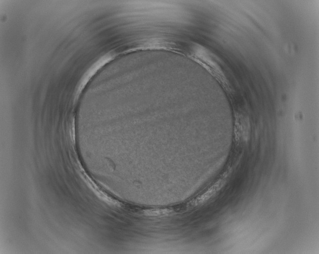 X0000076320804200610161642