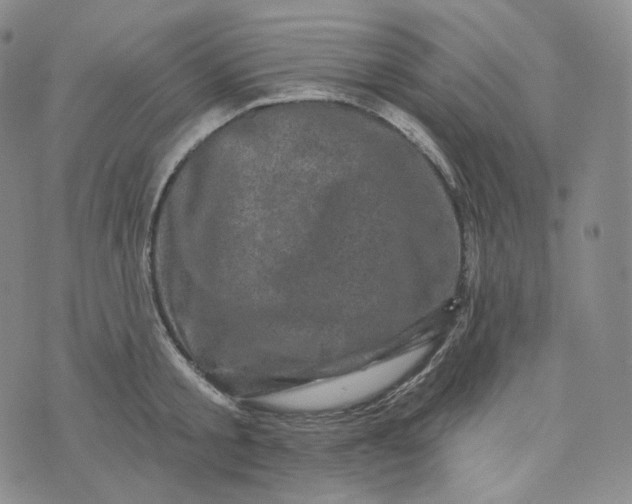 X0000076320805200610161642