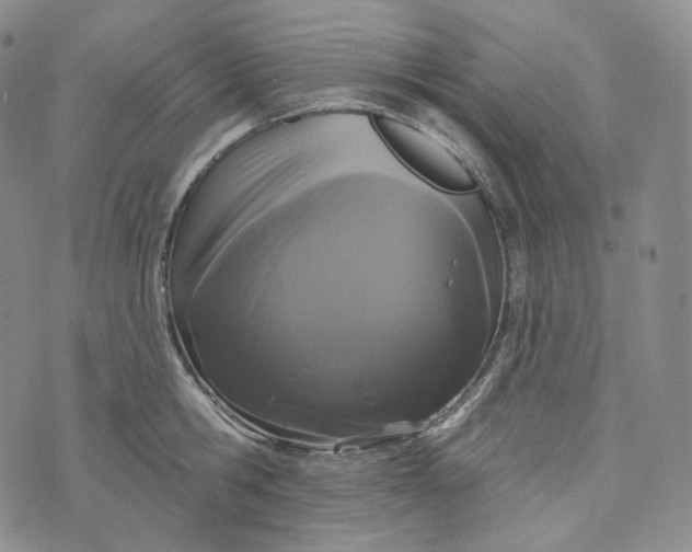 X0000076320806200610161642