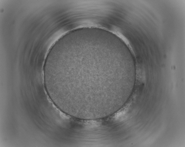 X0000076320807200610161642