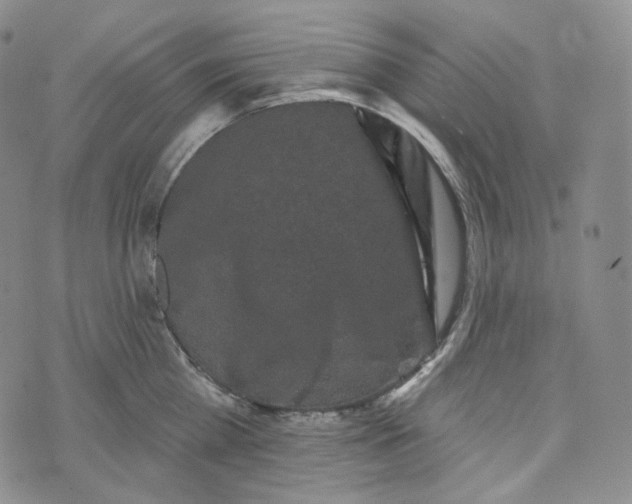 X0000076320809200610161642