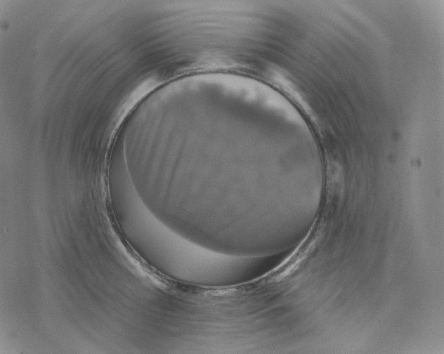 X0000076320810200610161642