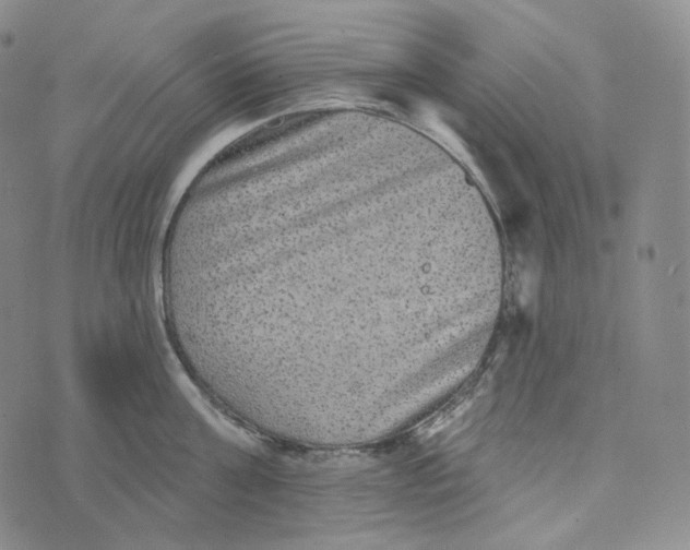 X0000076320811200610161642