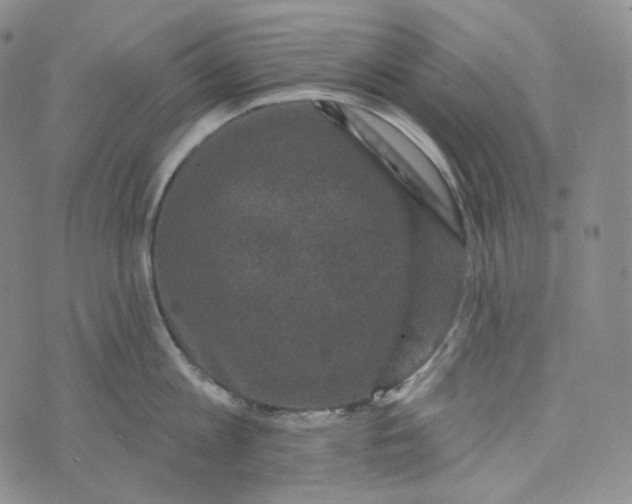 X0000076320813200610161642