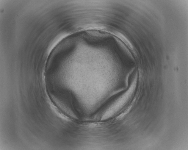 X0000076320814200610161642