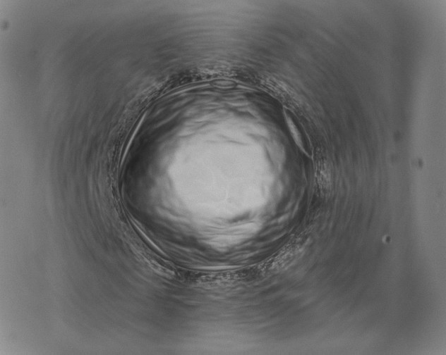 X0000076320817200610161641