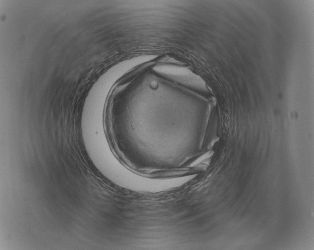 X0000076320818200610161641