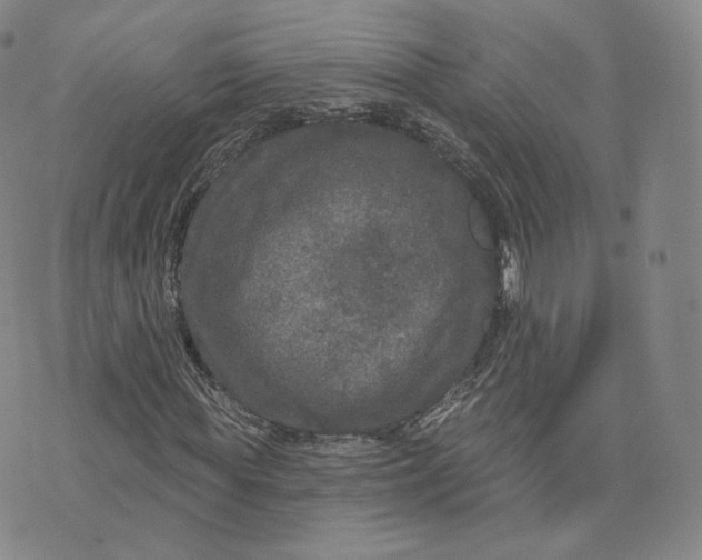 X0000076320819200610161641