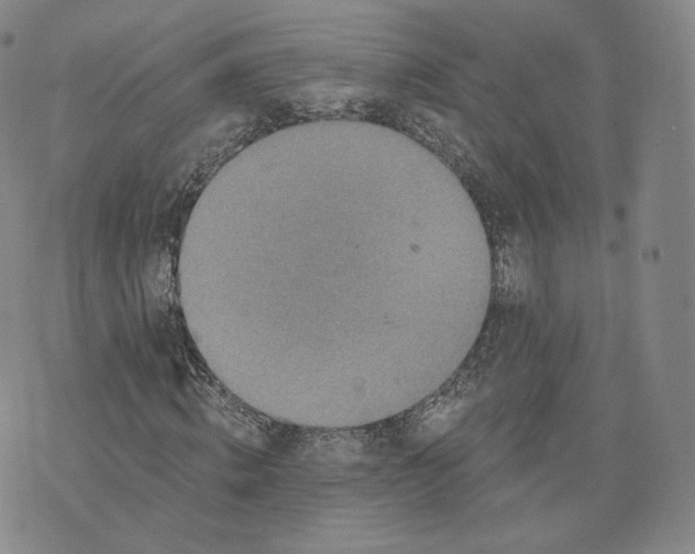 X0000076320820200610161641