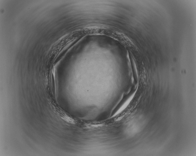 X0000076320821200610161641