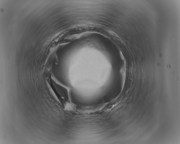 X0000076320822200610161641