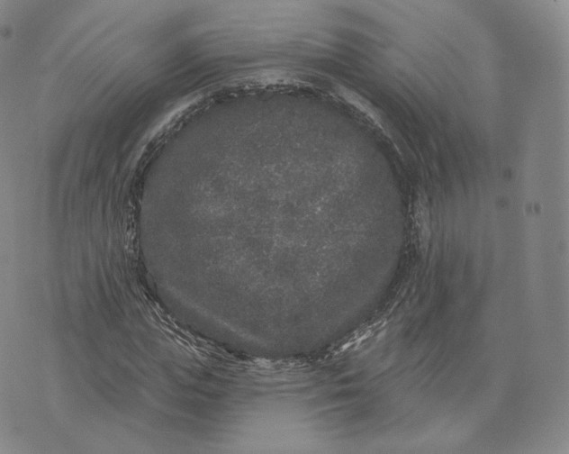 X0000076320823200610161641