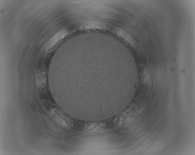 X0000076320824200610161641