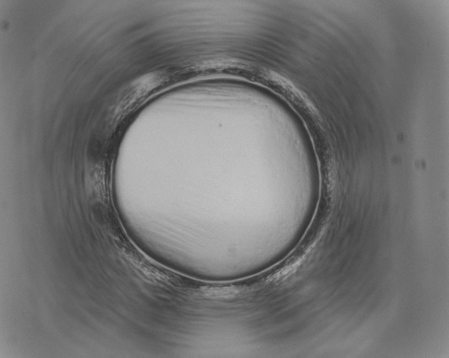 X0000076320825200610161641