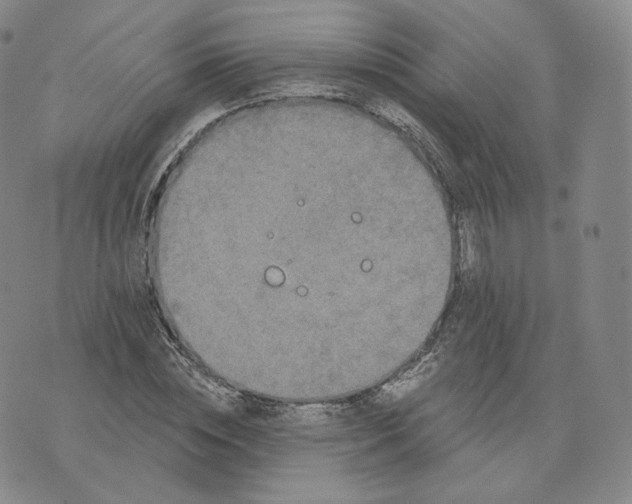 X0000076320828200610161641