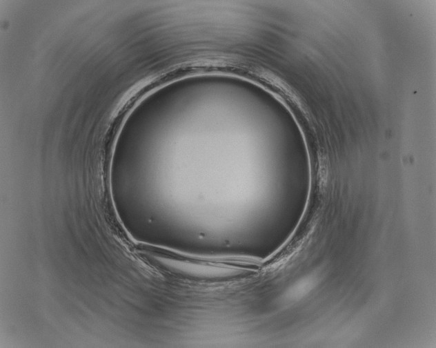 X0000076320829200610161641